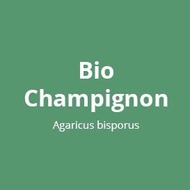 Bio Champignon