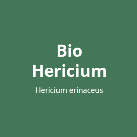 Bio Hericium
