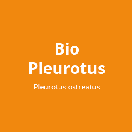 Bio Pleurotus